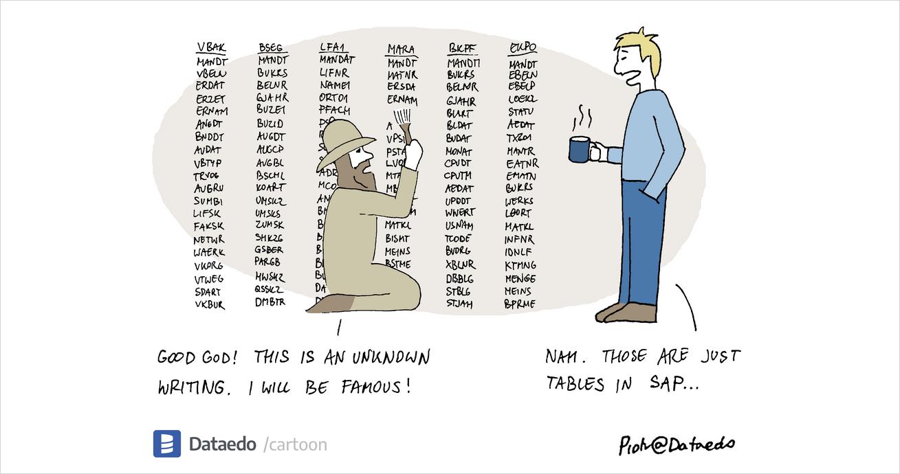 Ancient writing in (SAP) databases - Dataedo Data Cartoons