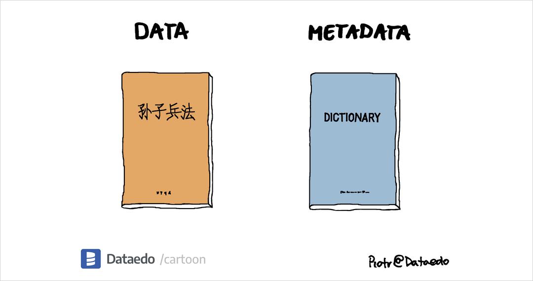 Data vs Metadata #10 - Dataedo Data Cartoons