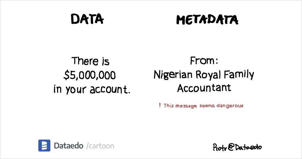 Data vs Metadata #9 - Dataedo Data Cartoons