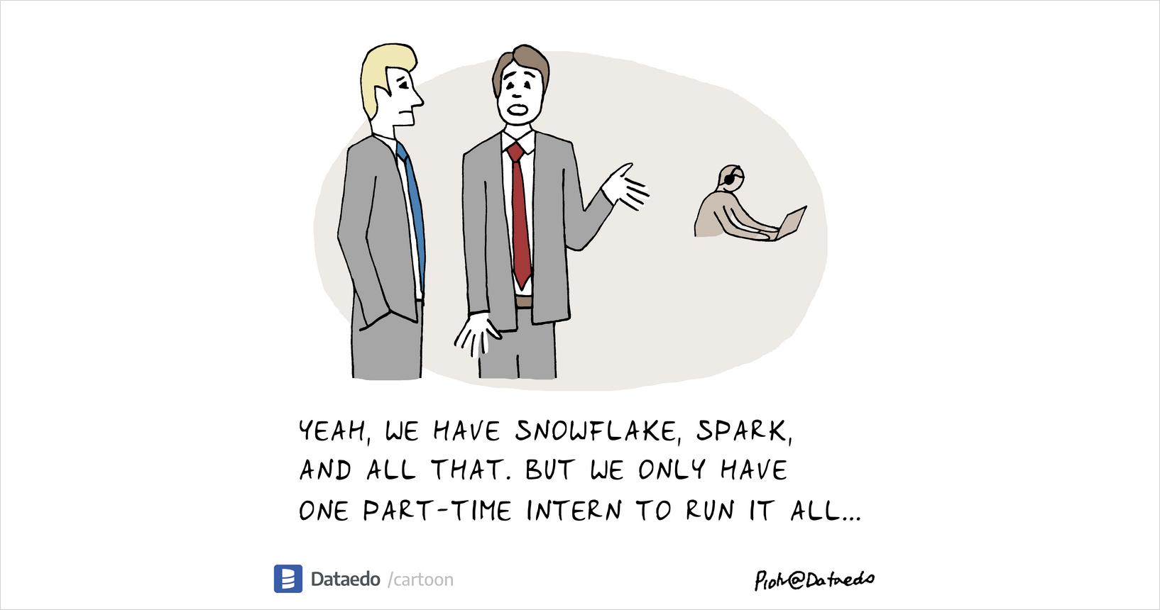 Data Intern - Dataedo Data Cartoons
