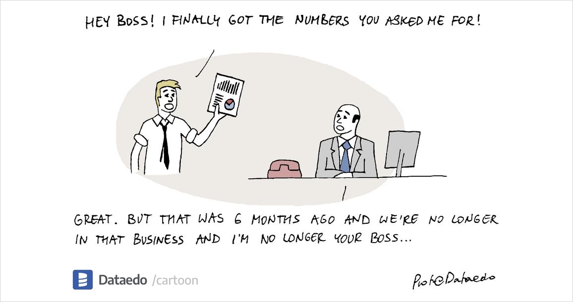 Time to Value (from Data) - Dataedo Data Cartoons