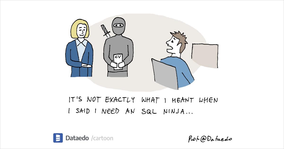 SQL Ninja - Dataedo Data Cartoons