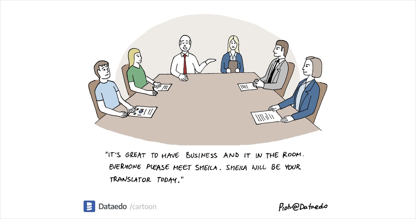 Translator Needed - Dataedo Data Cartoons