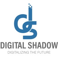 Digital Shadow Information Technology LLC