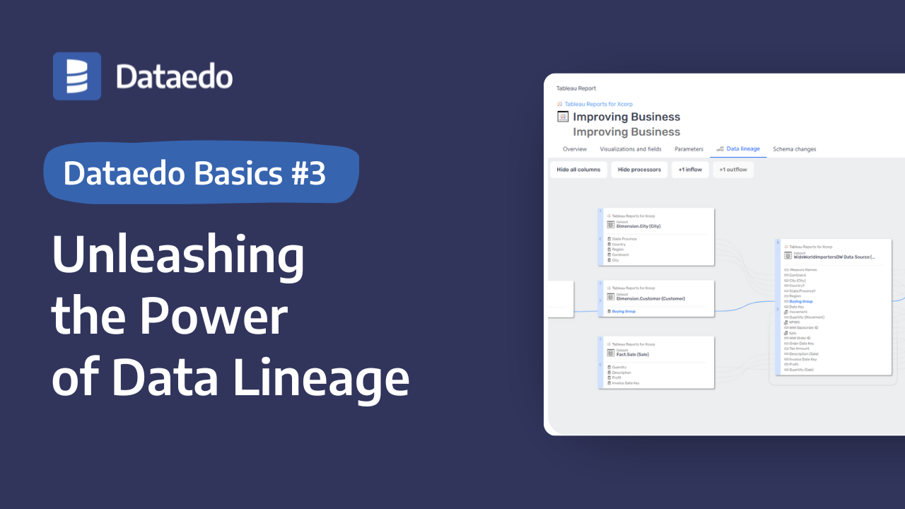 dataedo-basics-3-unleashing-the-power-of-data-lineage