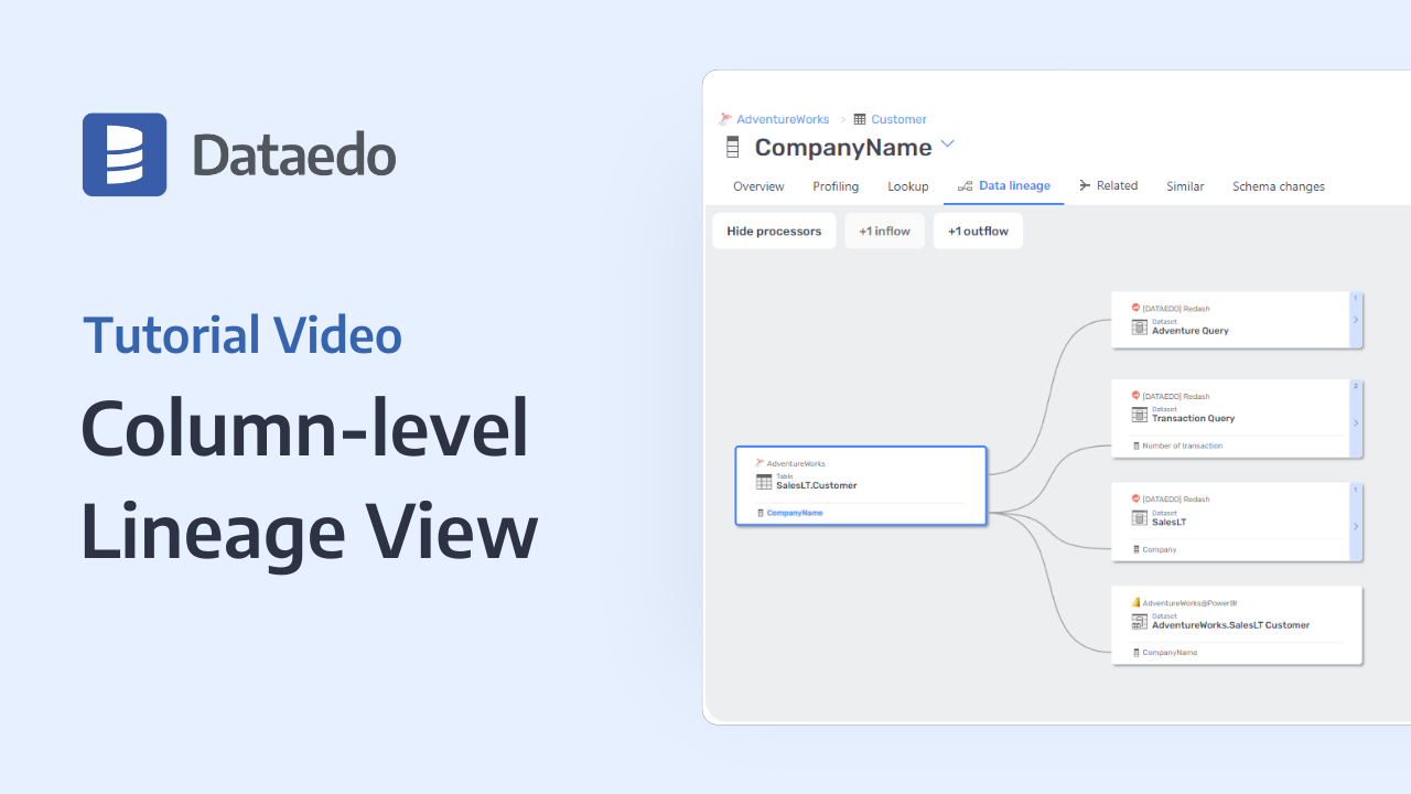 Column-level Lineage View - Dataedo