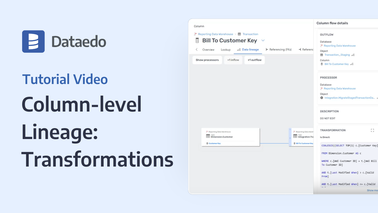 Column-level Lineage View - Dataedo