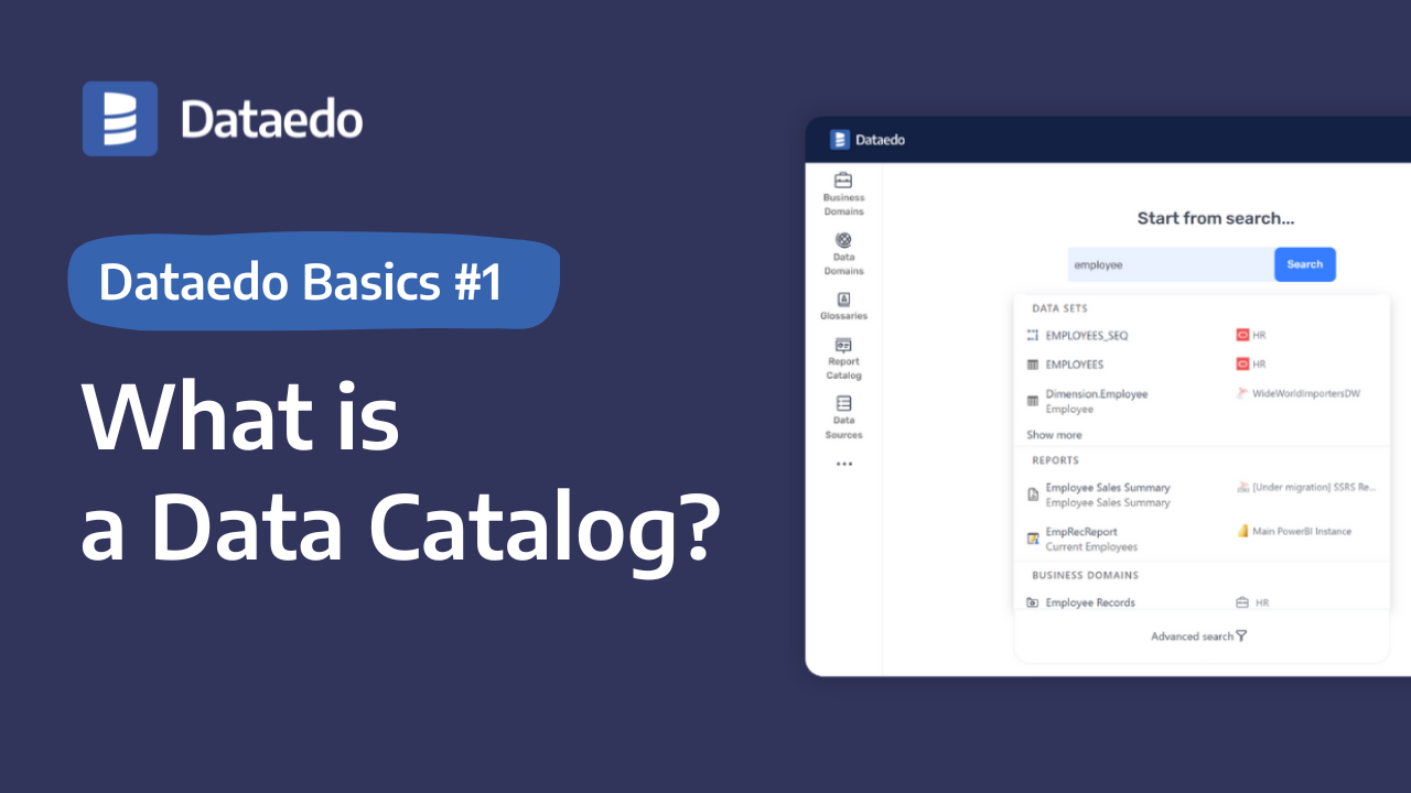 Dataedo Basics - Dataedo
