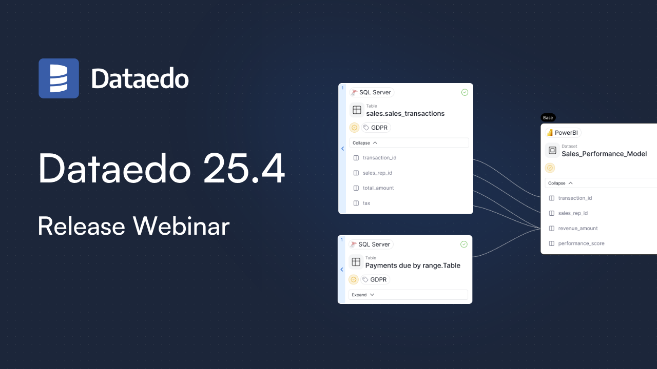 dataedo-254-release-webinar